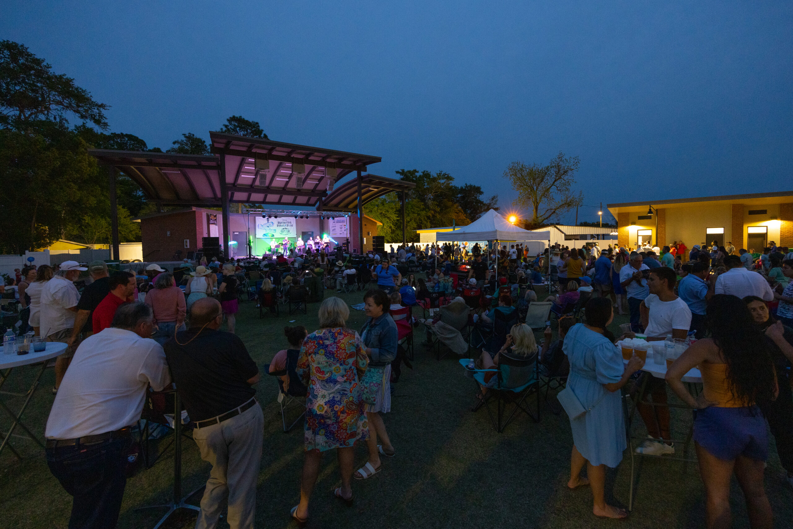 Missed the inaugural Valdosta Bluesberry Festival? Here’s what you need