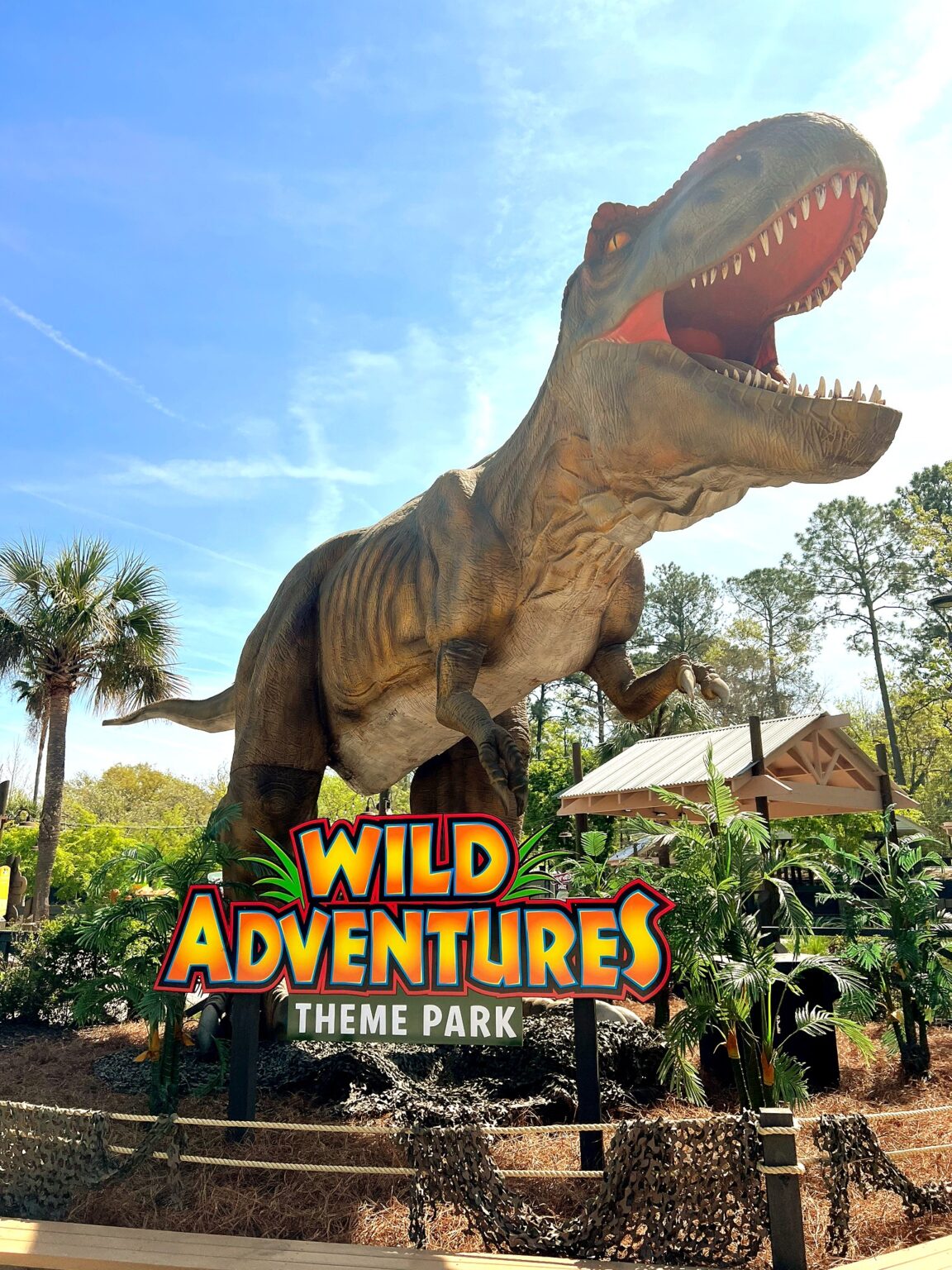 Wild Adventures is OPEN! - Visit Valdosta